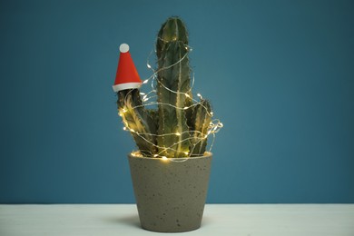 Cactus decorated with glowing fairy lights and santa hat on white table against blue background