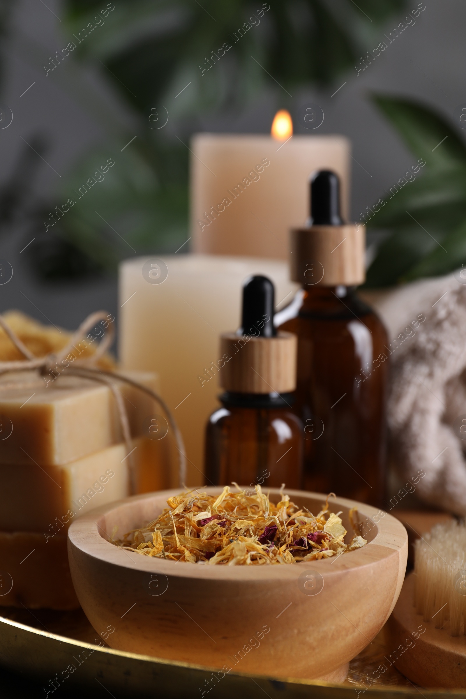 Photo of Spa composition. Dry flowers, bottles and soap bars on tray, closeup