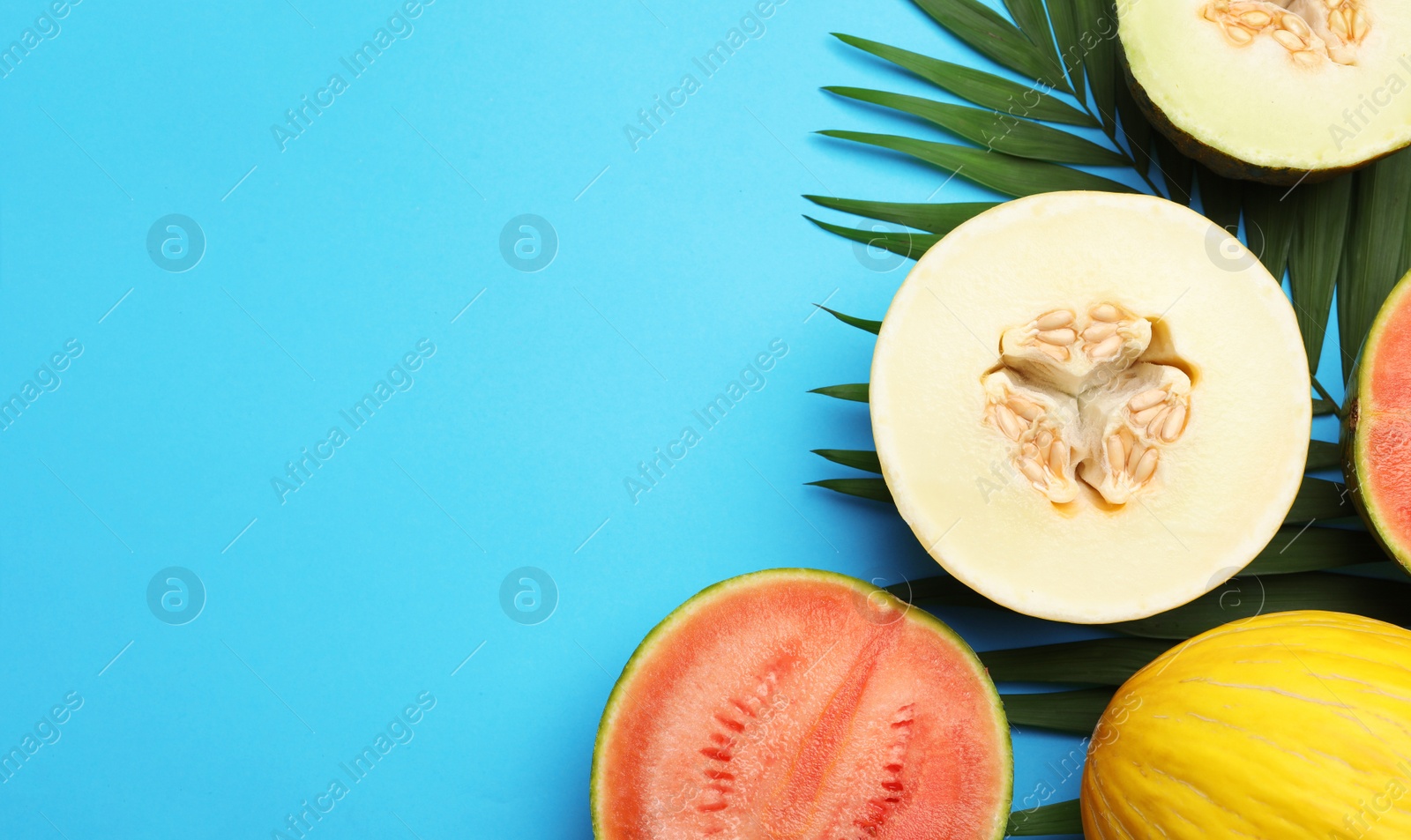 Photo of Flat lay composition with tasty melon and watermelon on blue background, space for text