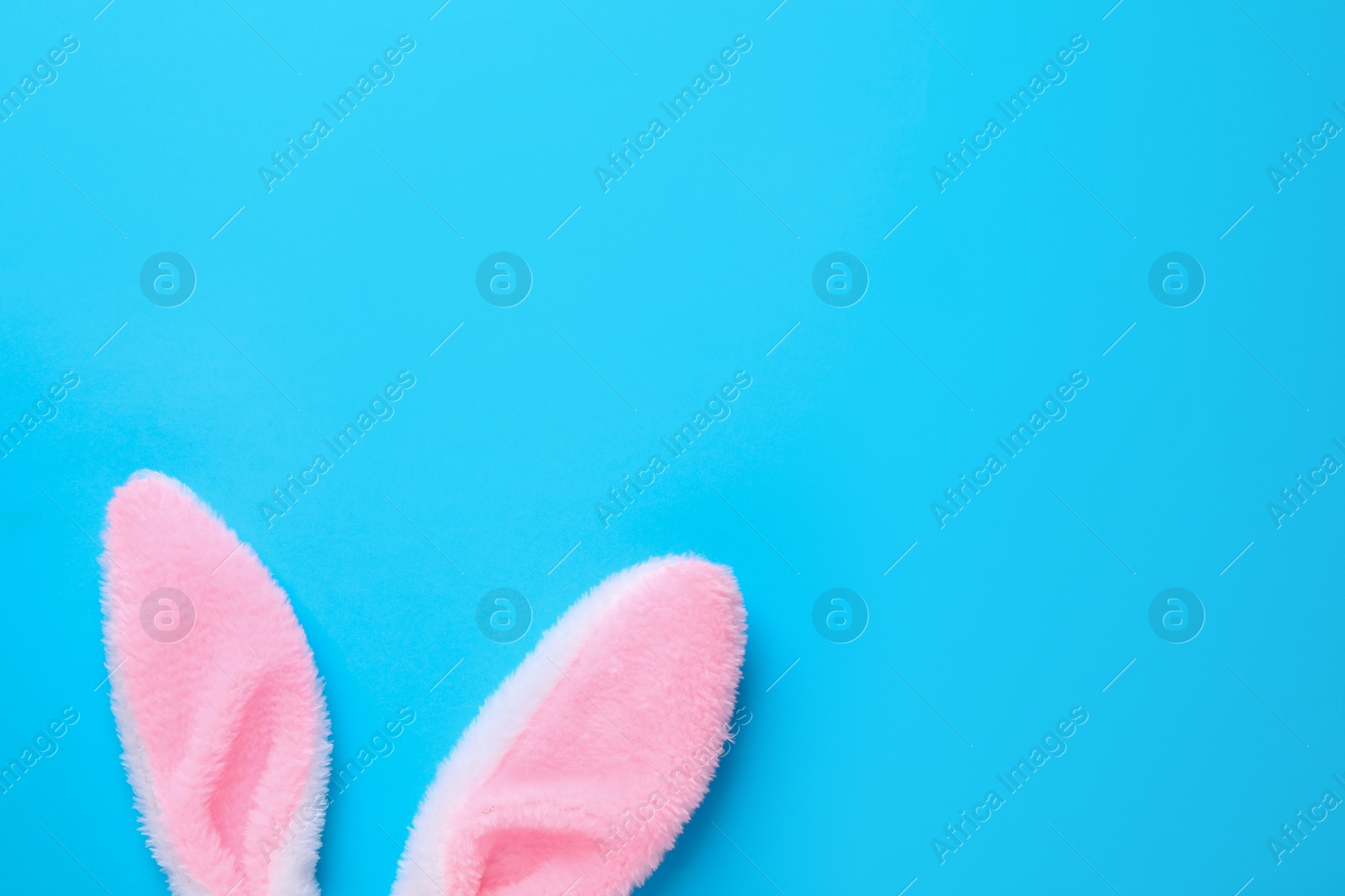 Photo of Easter bunny ears on light blue background, top view. Space for text