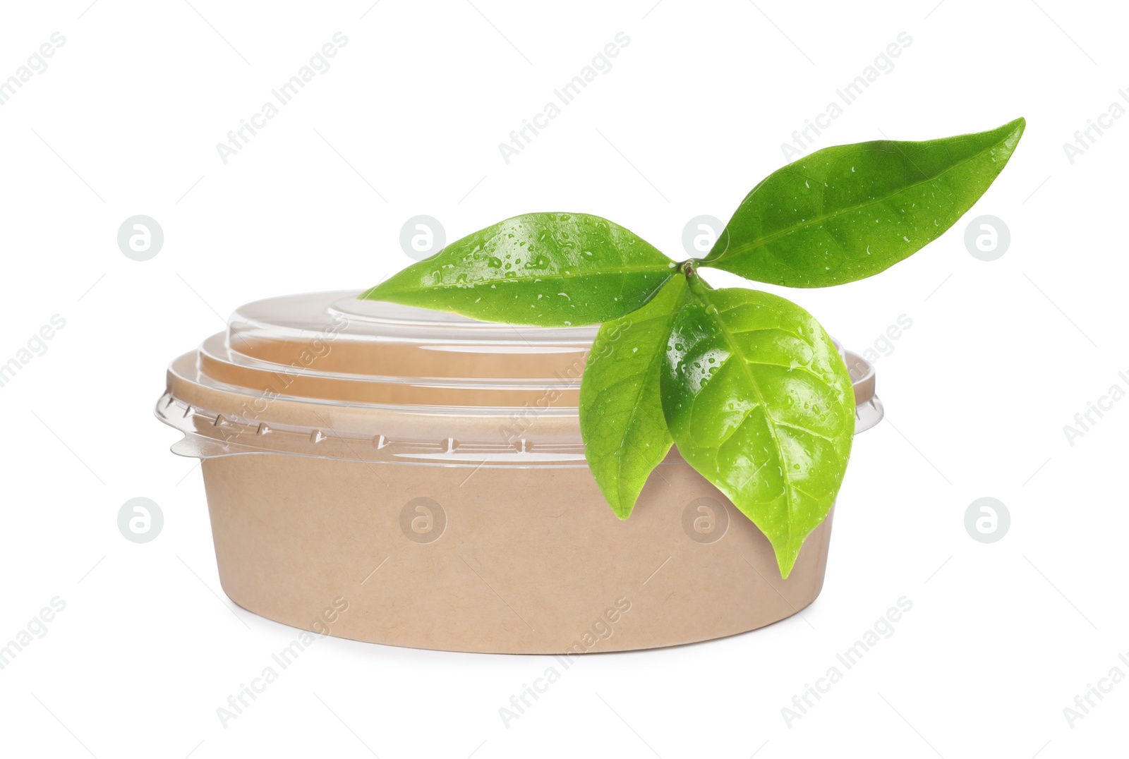 Image of Empty paper bowl and green leaves on white background. Eco friendly lifestyle