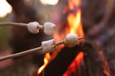 Photo of Fried marshmallows on stick against blurred background, closeup. Summer camp