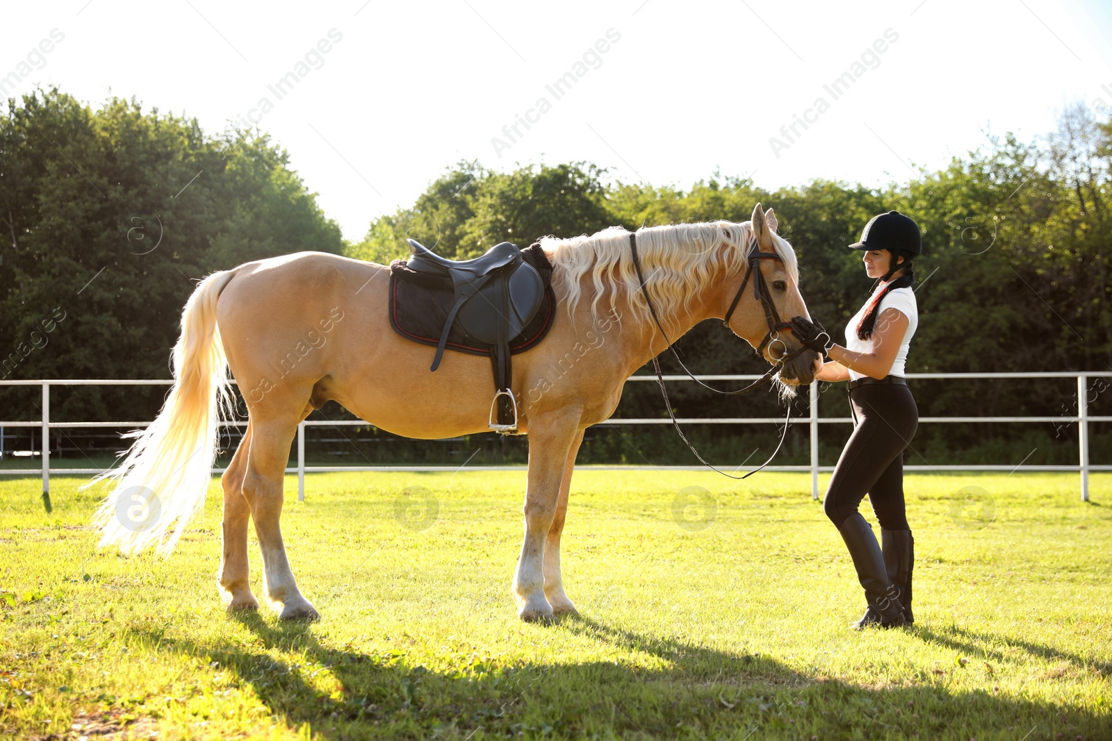 Photo of Young woman in horse riding suit and her beautiful pet outdoors on sunny day