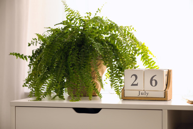 Photo of Wooden block calendar and plant on white table indoors