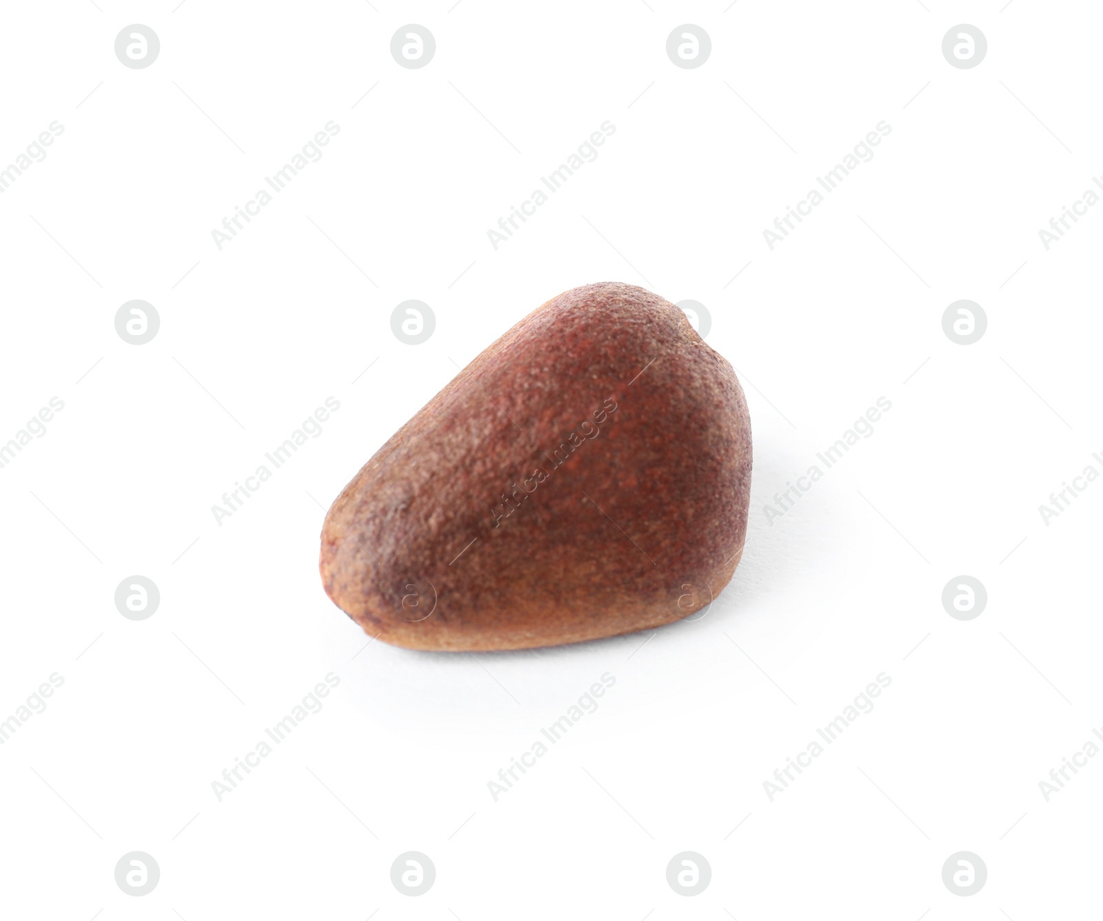 Photo of Pine nut on white background. Healthy snack