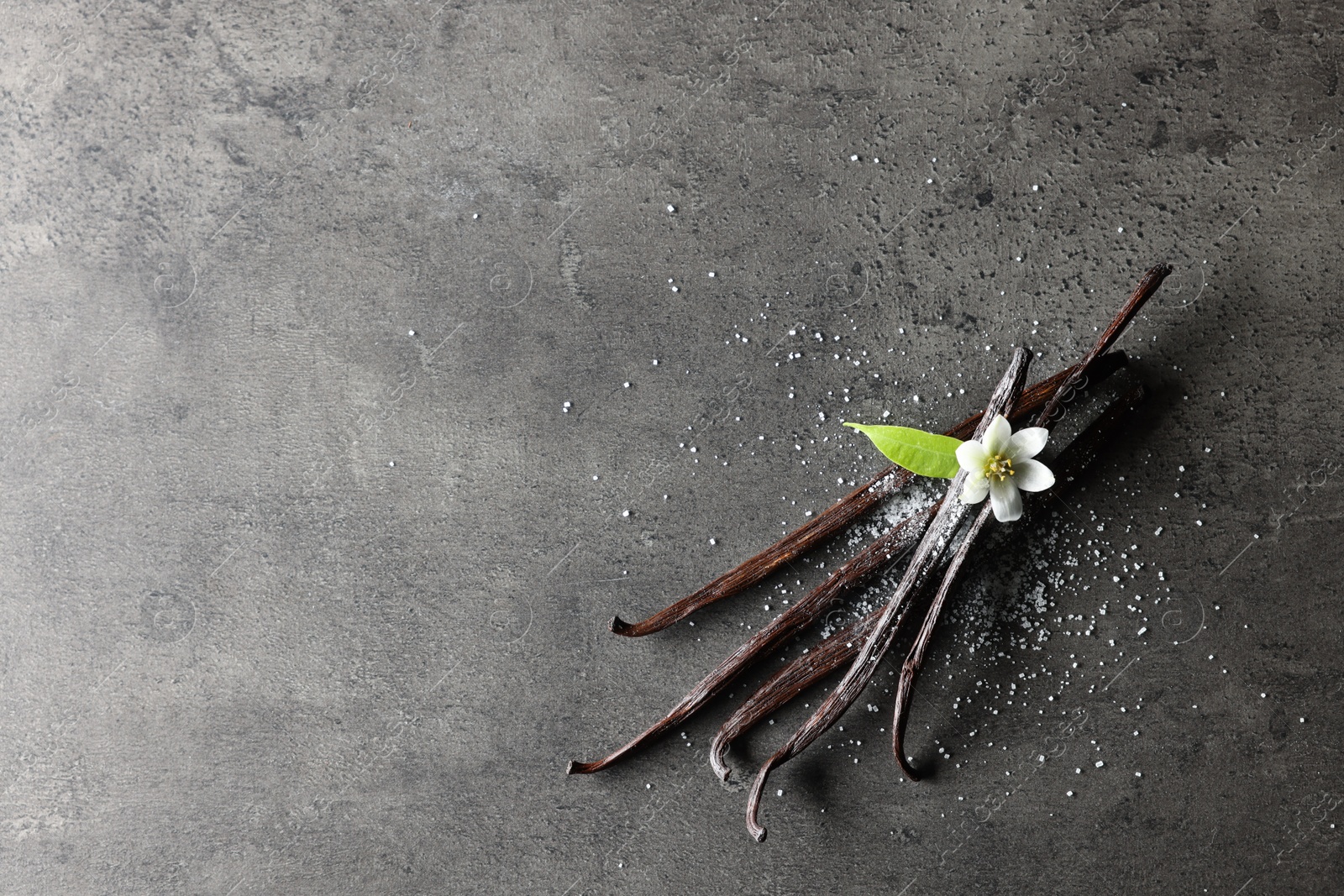 Vanilla pods, leaf and flower on grey textured table, top view. Space for text Photo of Vanilla pods, leaf and flower on grey textured table, top view. Space for text