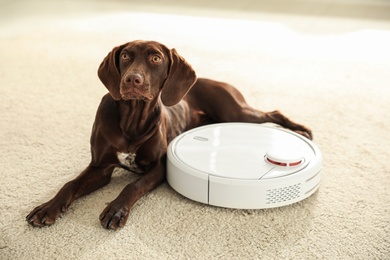 Photo of Modern robotic vacuum cleaner and German Shorthaired Pointer dog on floor indoors