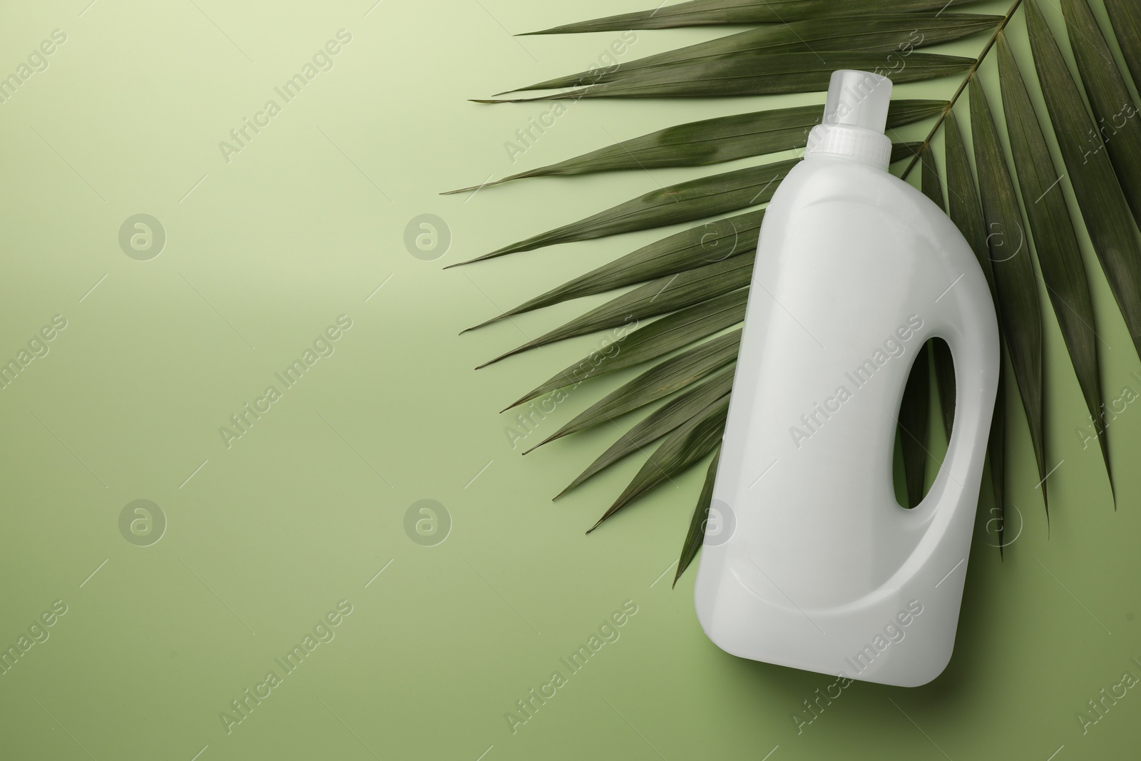 Bottle of fabric softener and palm leaf on light green background, flat lay. Space for text Photo of Bottle of fabric softener and palm leaf on light green background, flat lay. Space for text