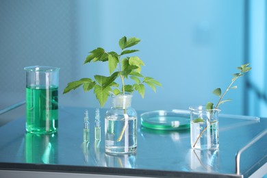 Photo of Laboratory glassware with plants on metal table, toned in blue