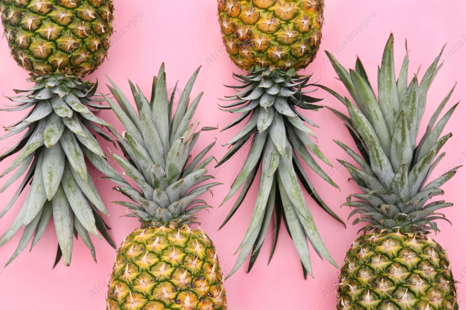 Photo of Delicious ripe pineapples on pink background, flat lay