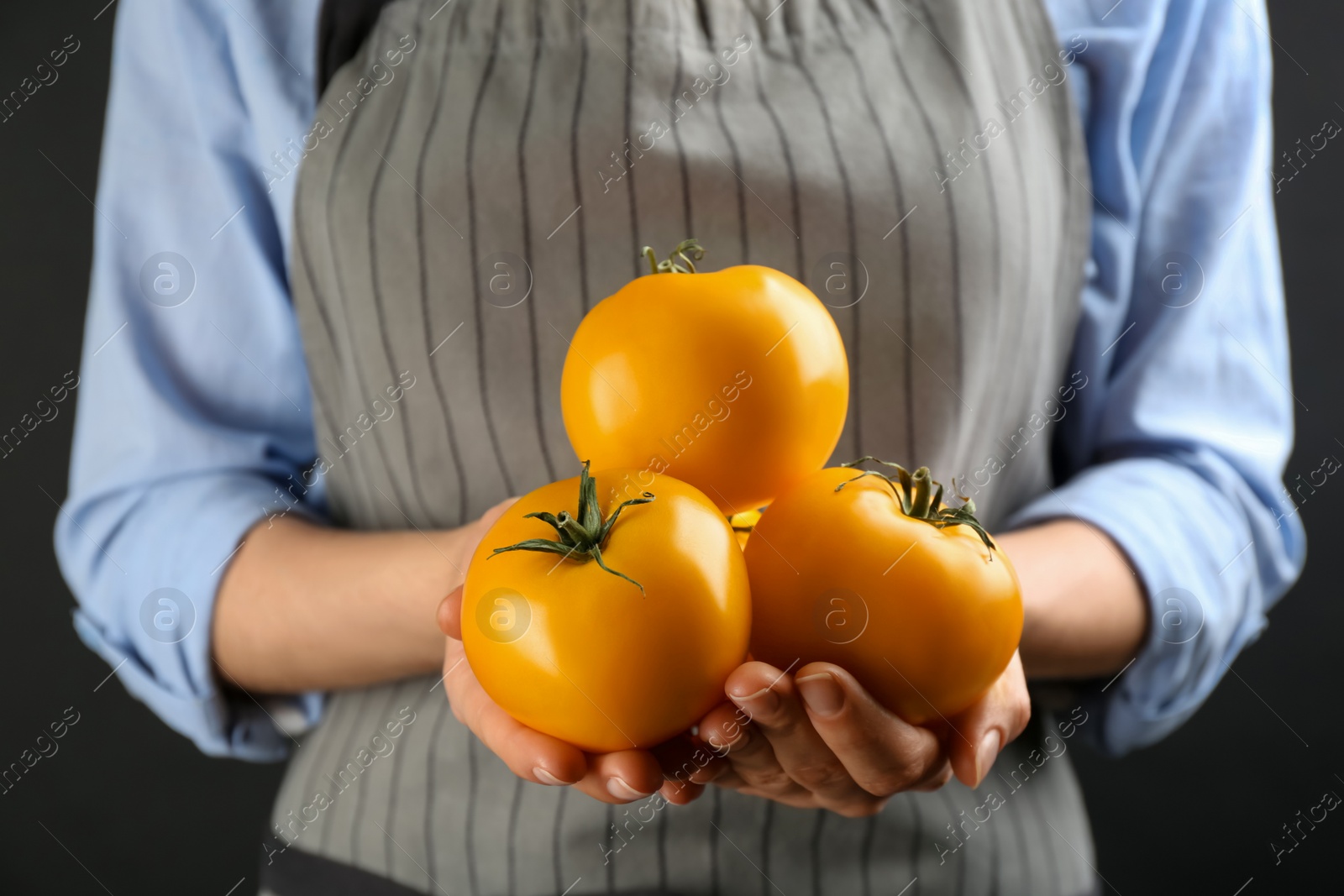 Woman holding yellow tomatoes on dark background, closeup Photo of Woman holding yellow tomatoes on dark background, closeup