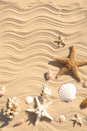 Photo of Starfishes and seashells on beach sand with wave pattern, flat lay. Space for text