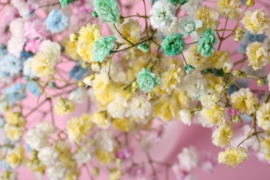 Photo of Beautiful dyed gypsophila flowers on pink background, closeup
