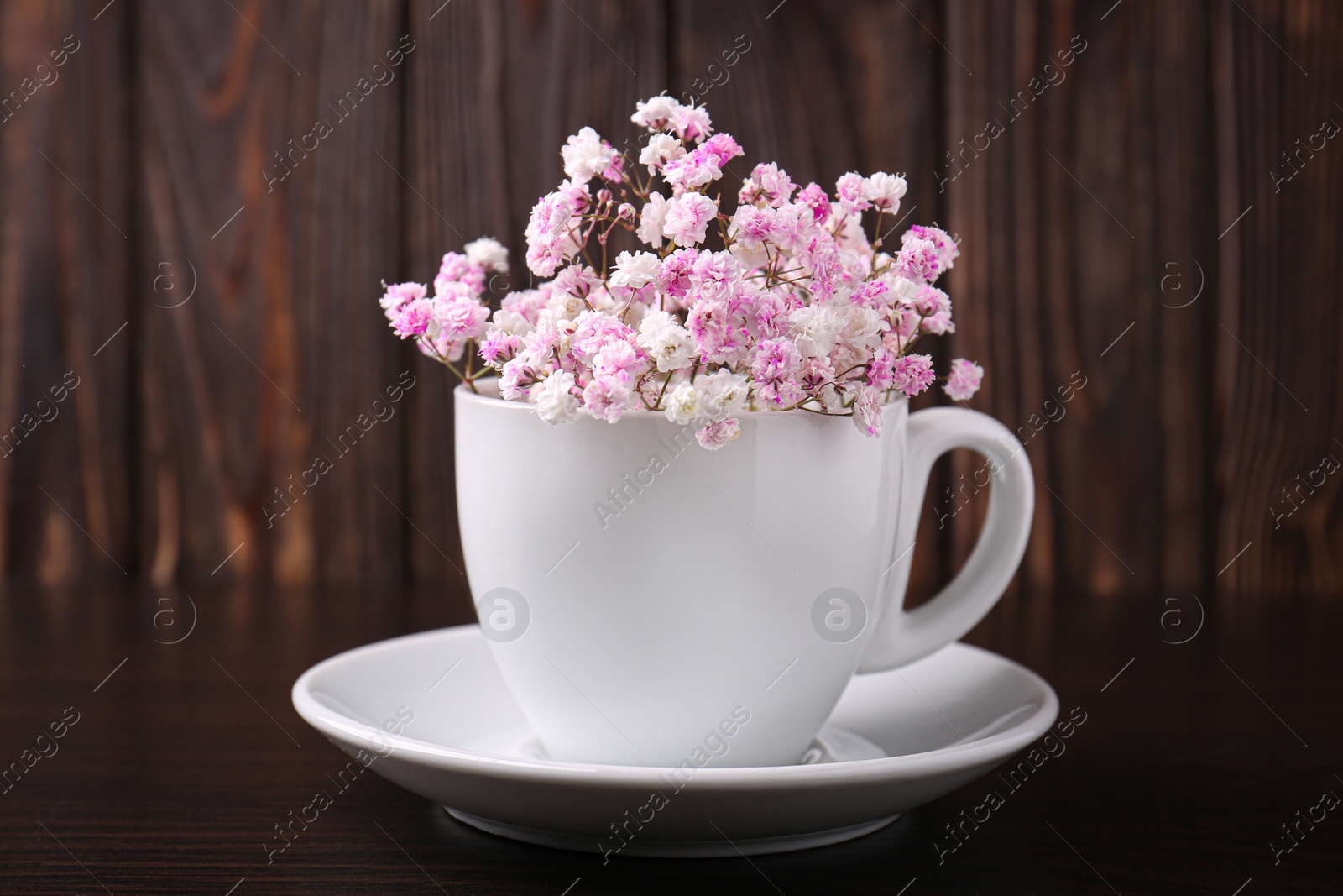 Photo of Beautiful dyed gypsophila flowers in white cup on wooden table