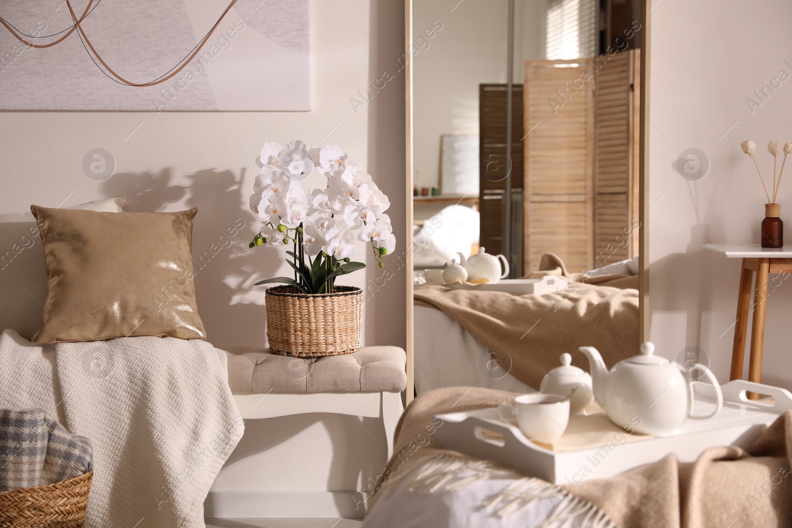 Photo of Beautiful bedroom interior with potted white orchids