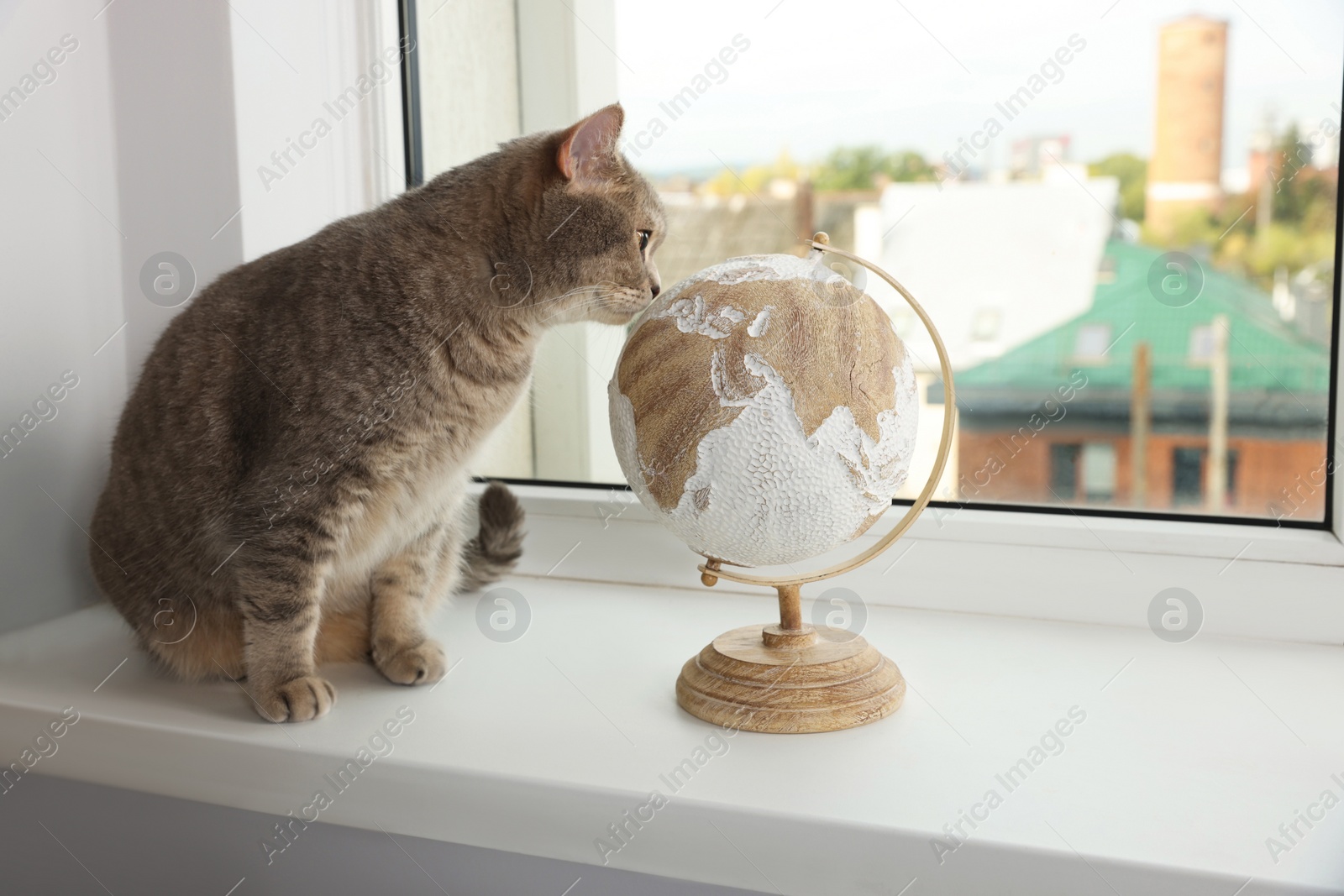 Photo of Cute cat and globe on windowsill indoors. Travel with pet concept