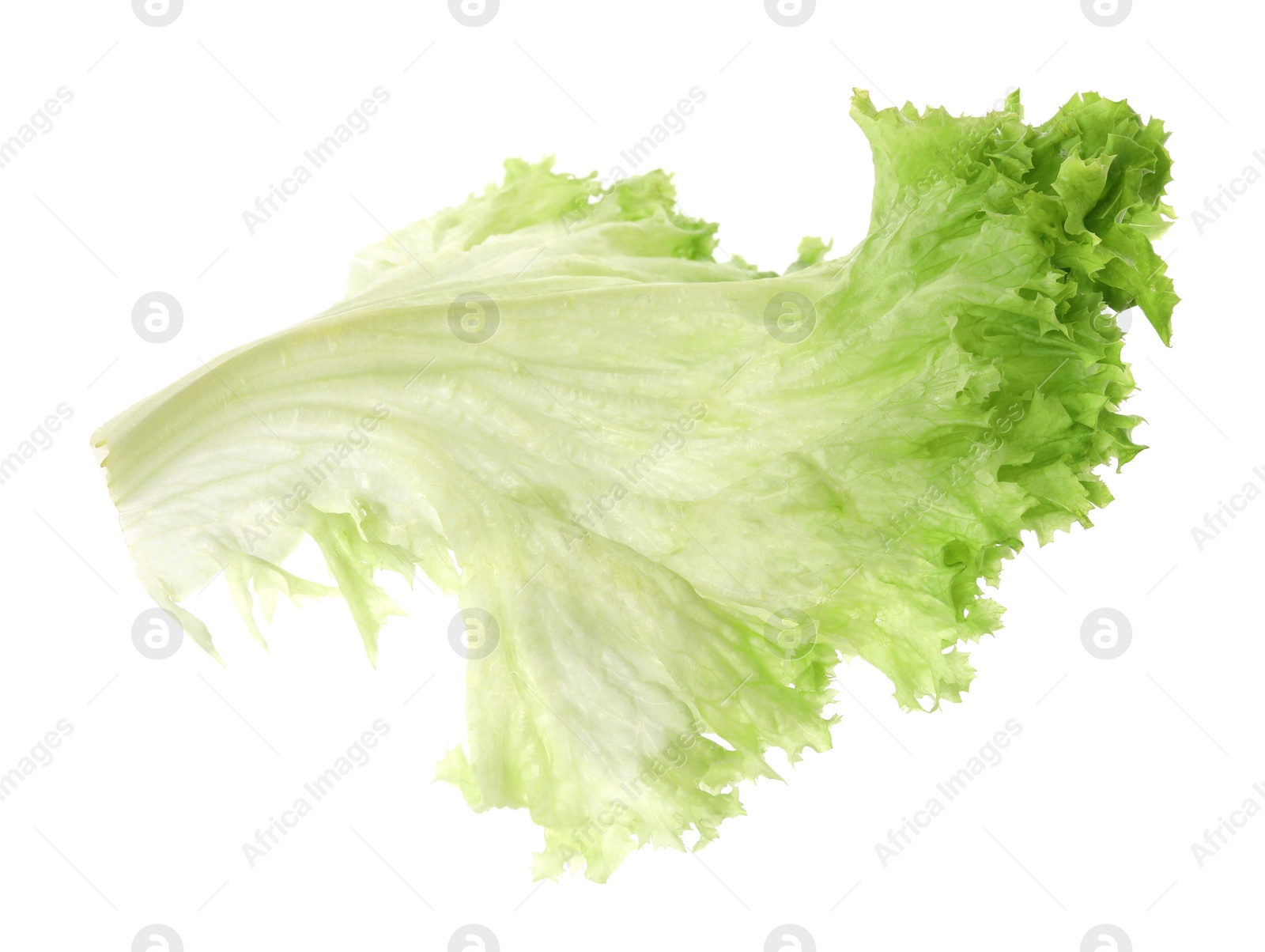 Photo of Fresh green lettuce leaf isolated on white