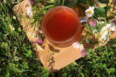 Photo of Ornate glass cup of tea, different wildflowers and herbs on wooden board in meadow, above view