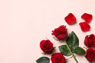 Beautiful red roses and petals on pale pink background, flat lay. Space for text