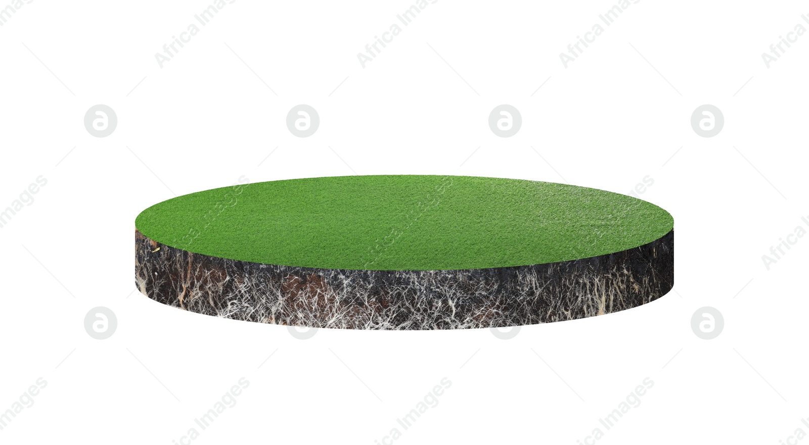 Image of Green grass with soil. Land piece in shape of circle isolated on white