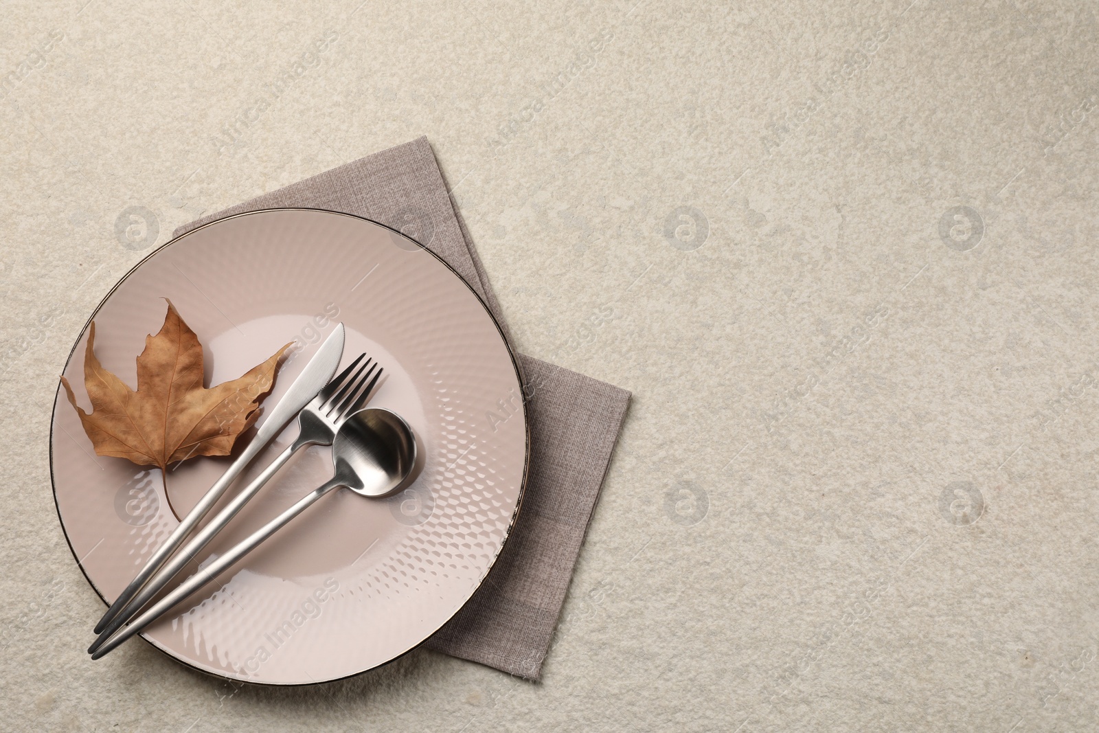 Photo of Stylish table setting with cutlery and dry leaf on light surface, top view. Space for text