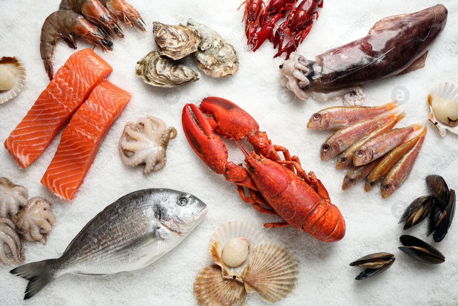 Photo of Fresh fish and seafood on ice, flat lay