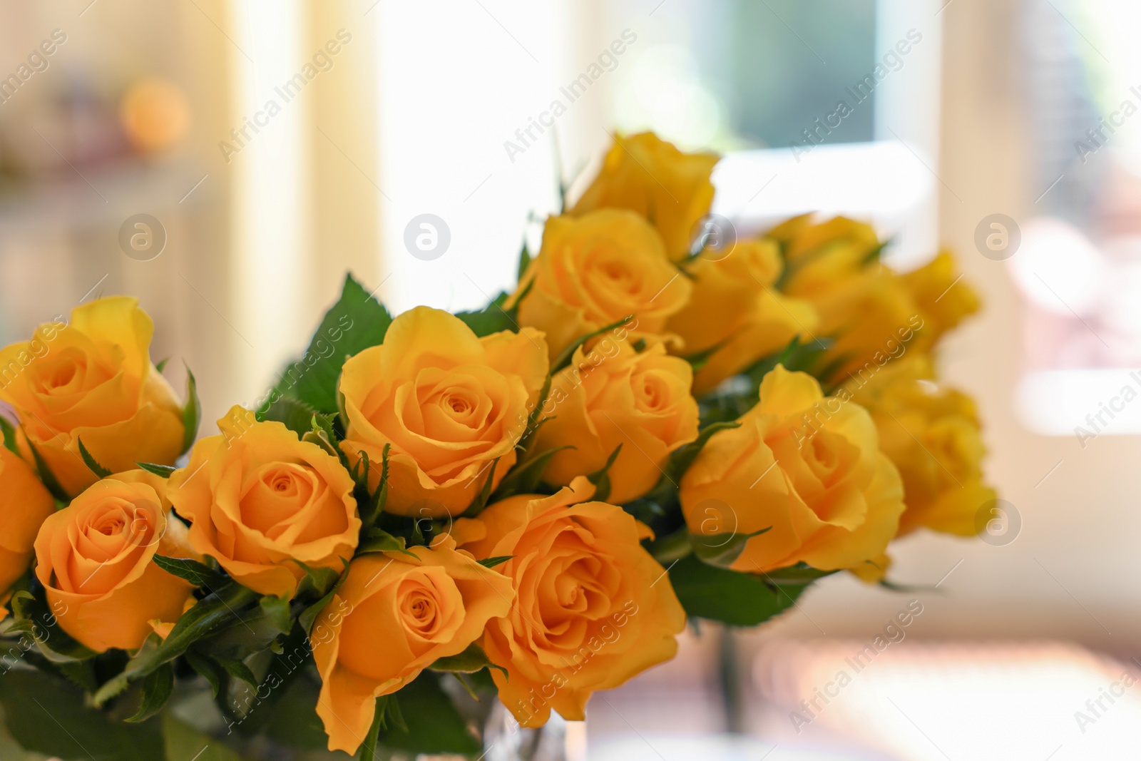 Photo of Beautiful bouquet of yellow roses indoors, closeup