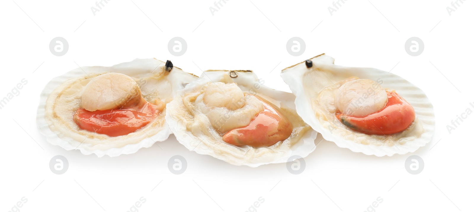 Photo of Fresh raw scallops in shells isolated on white