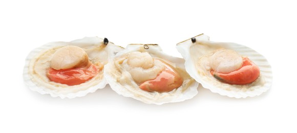 Photo of Fresh raw scallops in shells isolated on white