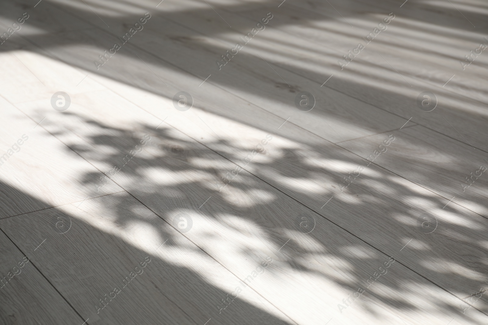 Photo of Shadow from window, curtains and houseplant on white laminated floor