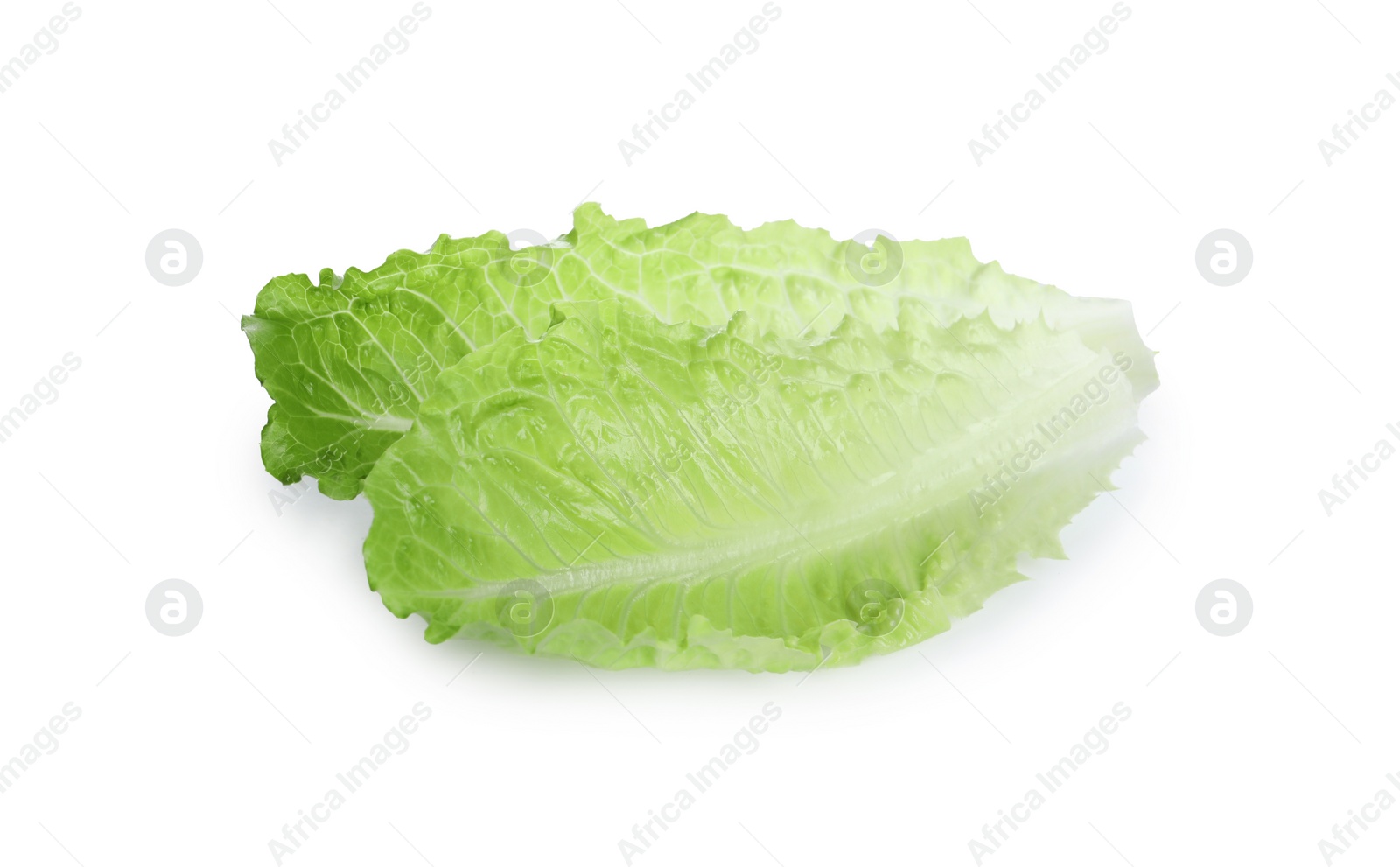 Photo of Fresh green leaves of romaine lettuce isolated on white