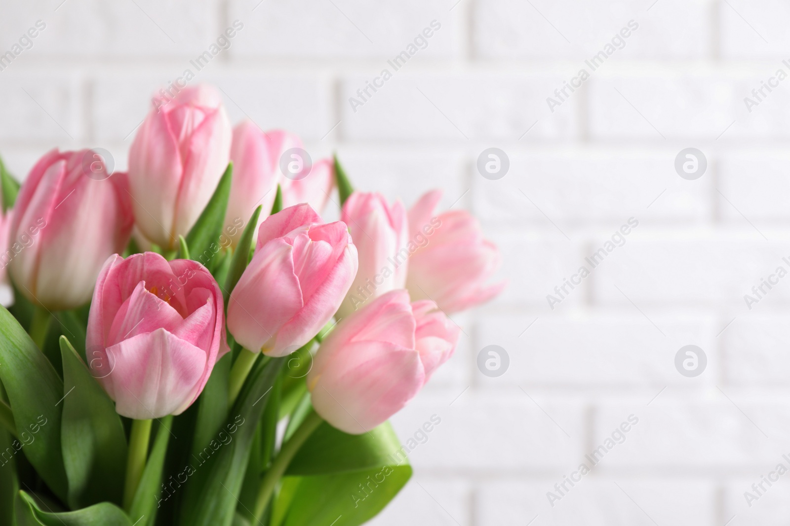 Photo of Beautiful bouquet of tulips against white brick wall, closeup. Space for text