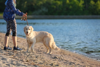 Young woman with her dog together on beach. Pet care