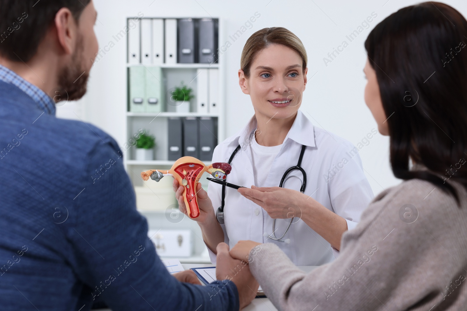 Photo of Fertility doctor demonstrating model of female reproductive system to couple in clinic. Patient consultation