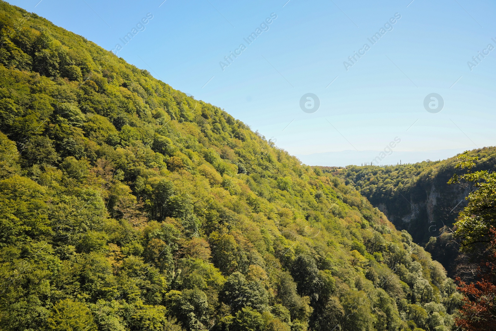 Photo of Picturesque view of mountain forest under beautiful sky, space for text