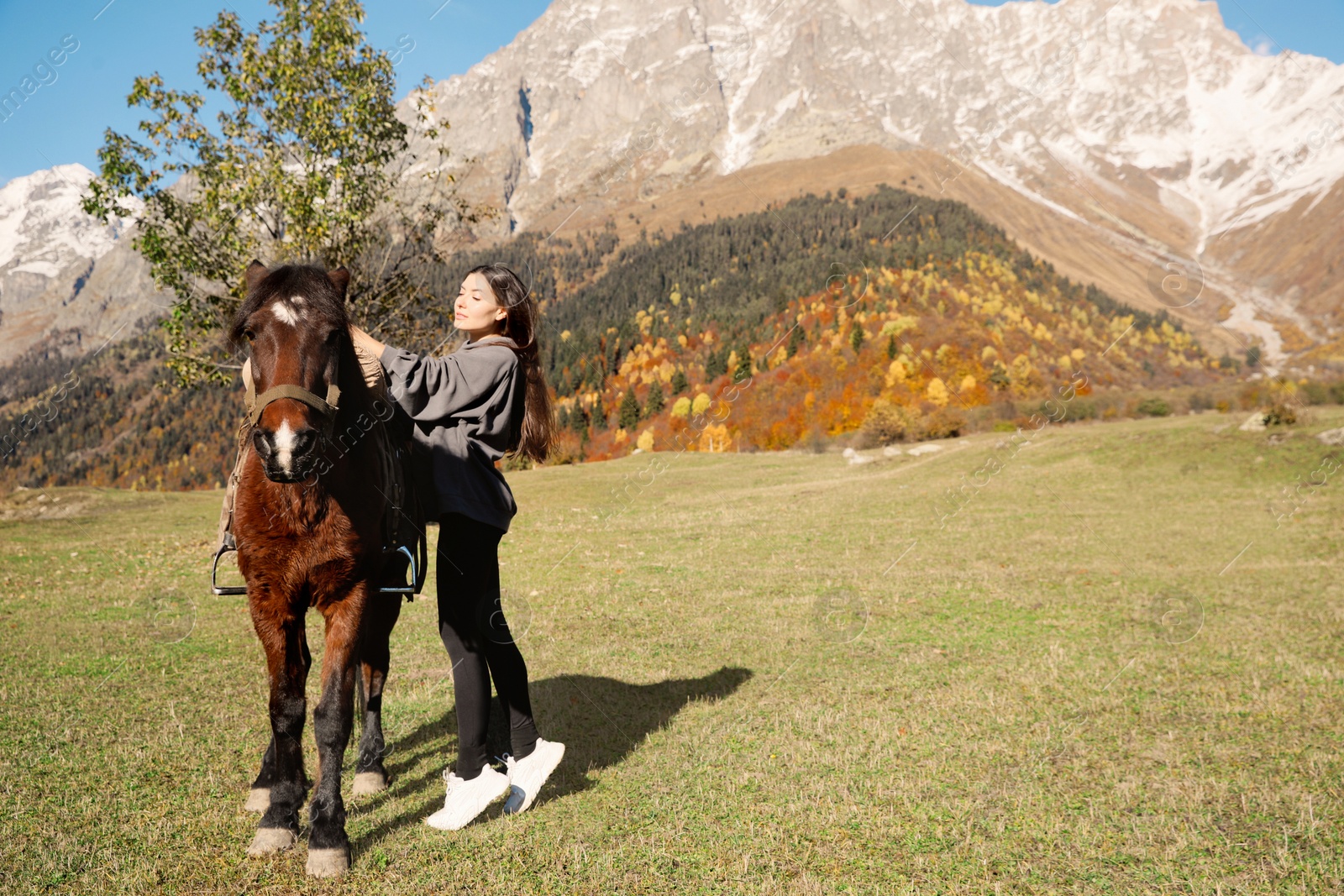 Photo of Young woman with horse in mountains on sunny day, space for text. Beautiful pet