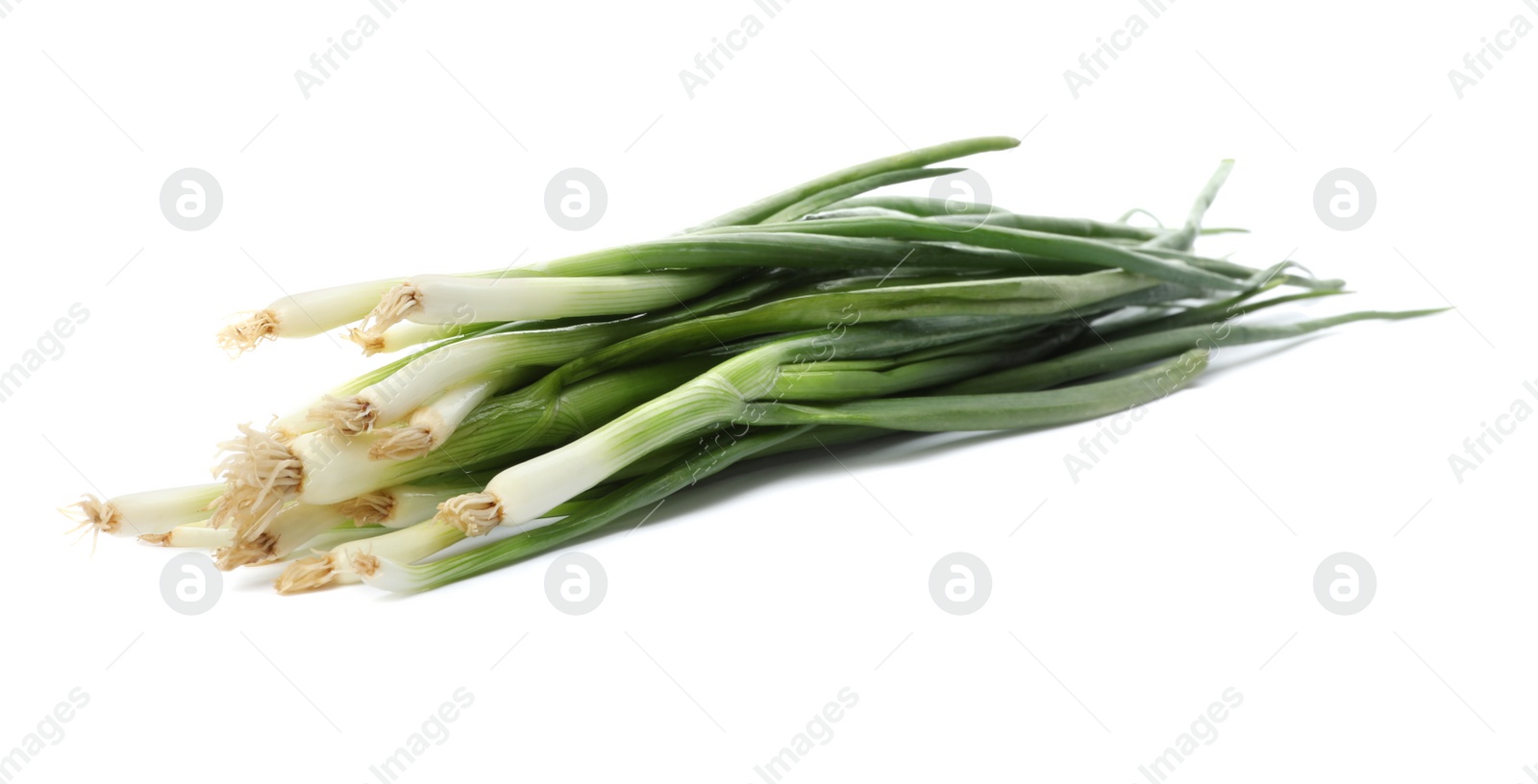 Photo of Bunch of fresh green onions isolated on white