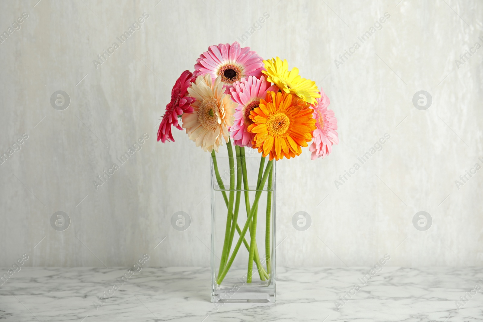 Photo of Bouquet of beautiful bright gerbera flowers in vase on marble table against light background