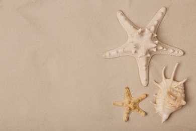 Starfishes and shell on beach sand, top view with space for text