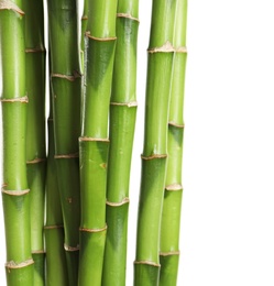 Photo of Beautiful green bamboo stems on white background