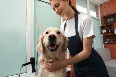 Photo of Professional groomer working with cute dog in pet beauty salon
