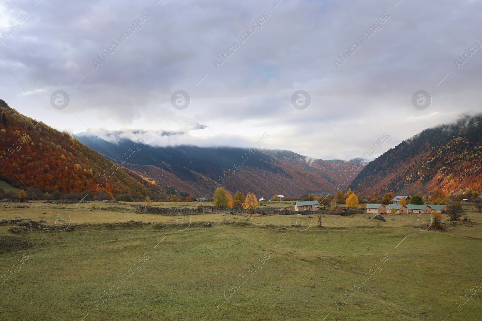 Photo of Picturesque landscape with forest and mountain village on autumn day