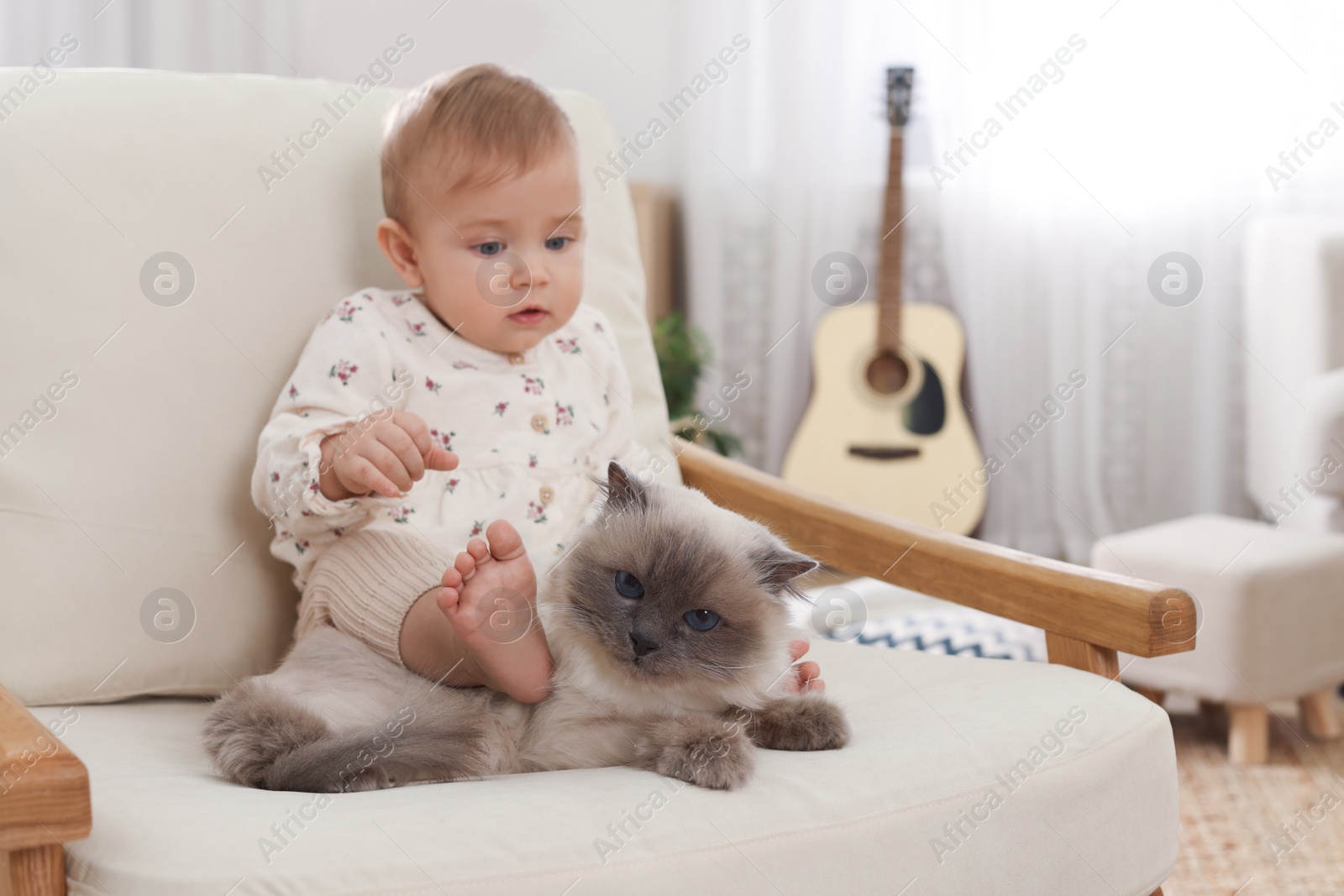 Photo of Cute little baby with adorable cat on armchair at home