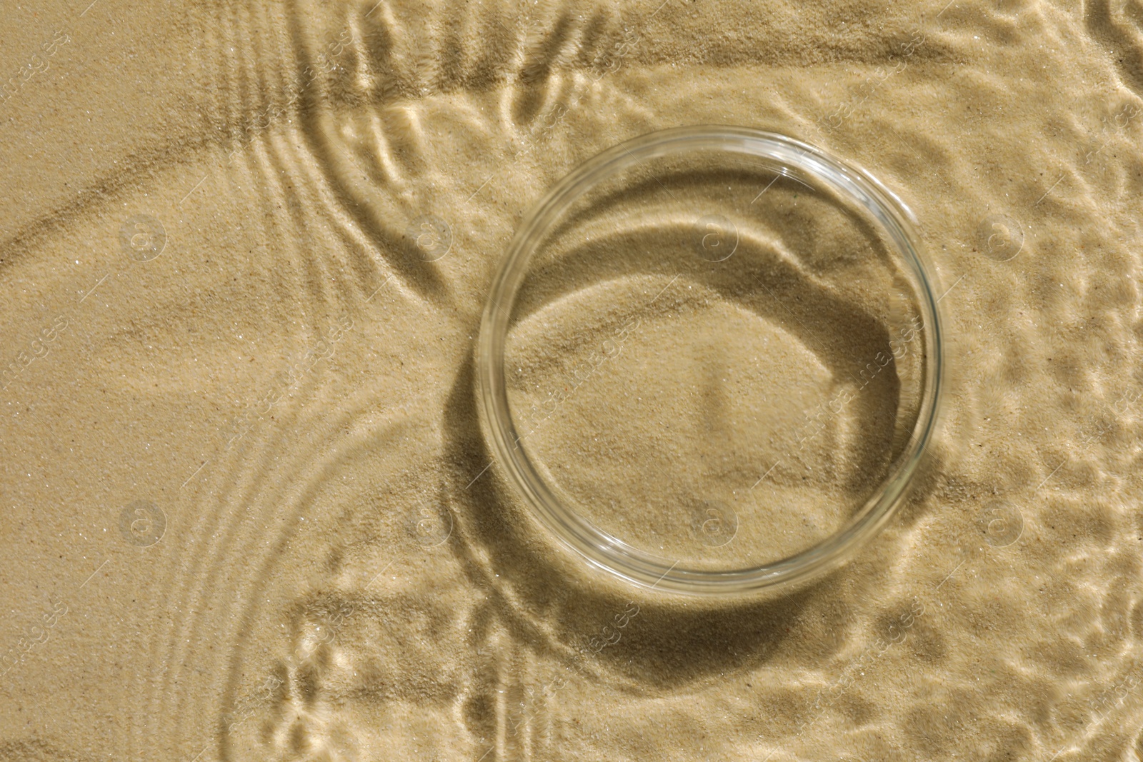 Photo of Stylish presentation for product. Glass podium in water on sand, top view. Space for text