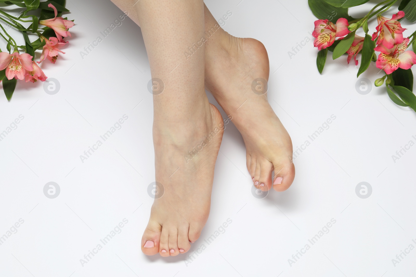 Photo of Closeup of woman with neat toenails after pedicure procedure on light background, top view