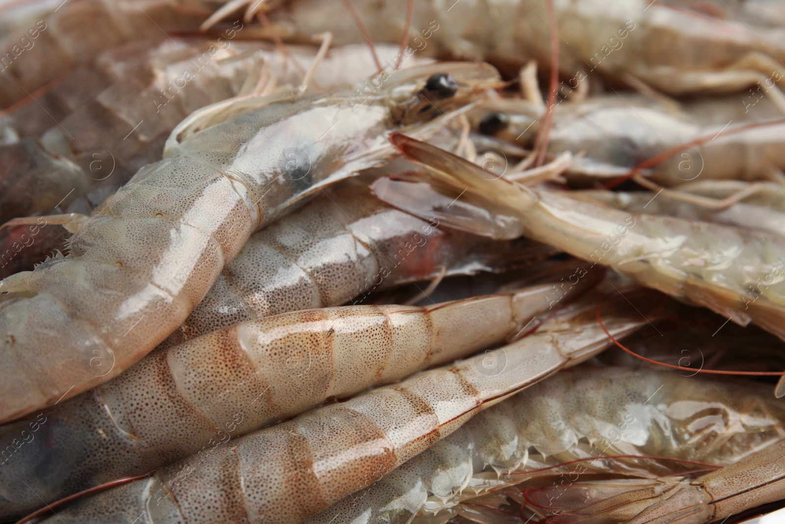 Photo of Fresh raw shrimps as background, closeup. Healthy seafood