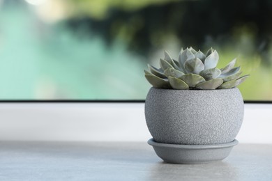 Photo of Beautiful potted houseplant on light grey stone window sill. Space for text