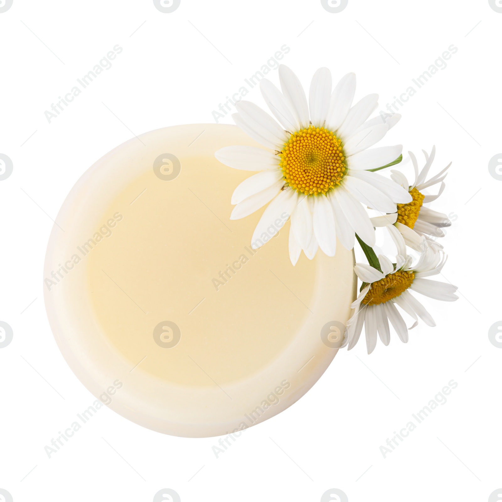 Photo of Solid shampoo bar and chamomiles on white background, top view. Hair care