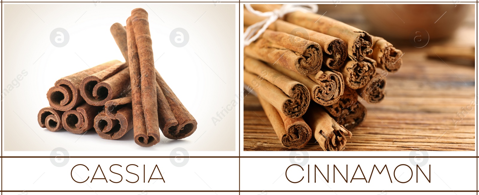 Image of Collage with photos of cassia and ceylon cinnamon sticks. Banner design