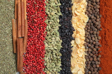 Set of different spices as background, top view